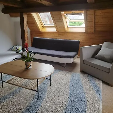 Schoene Im Zentrum Apartment